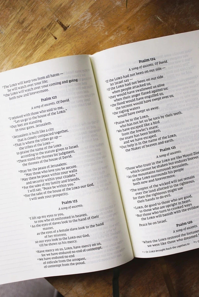 Artisan Collection Large Print Leather Soft Bible- NIV-Books-Dear Me Southern Boutique, located in DeRidder, Louisiana