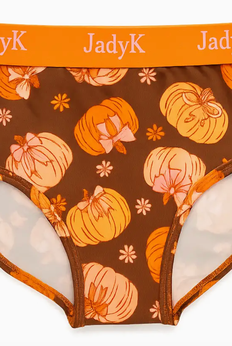 Arya Hip Hugging Briefs: Fall Collection 2-Dear Me Southern Boutique, located in DeRidder, Louisiana