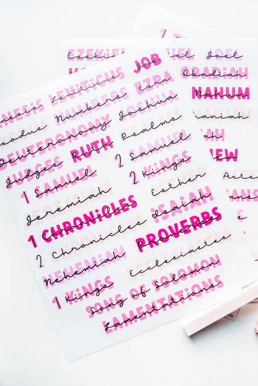 Books of the Bible Header Stickers - All the Pinks Edition-JAG Books-Dear Me Southern Boutique, located in DeRidder, Louisiana