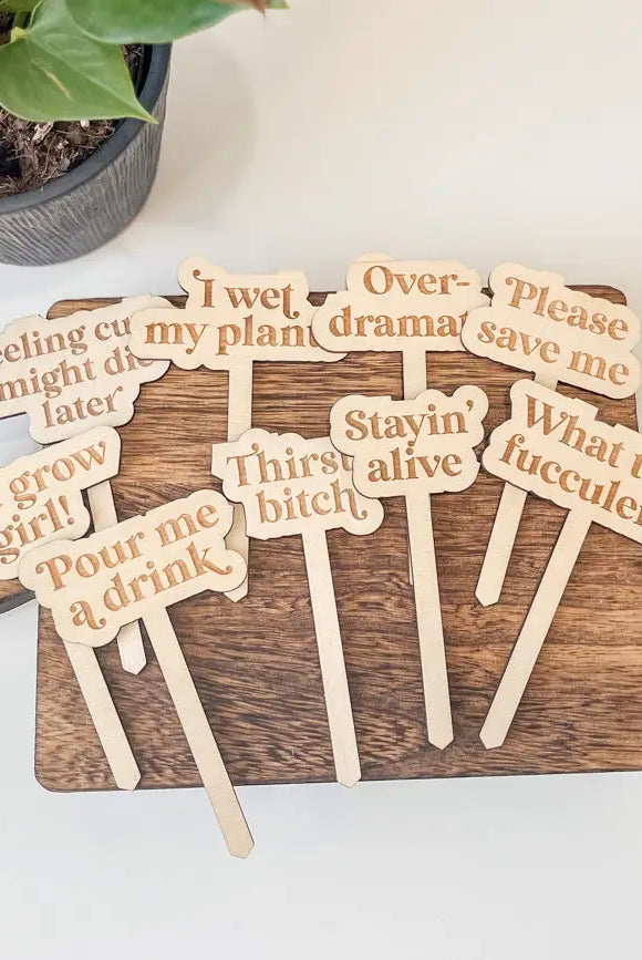 Funny Wooden Plant Stakes-Gifts-Dear Me Southern Boutique, located in DeRidder, Louisiana