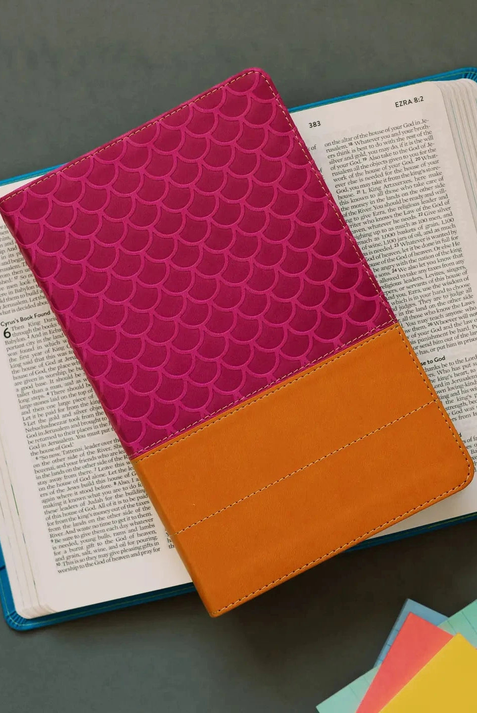 Know Your Bible NLV-JAG Bible Covers-Dear Me Southern Boutique, located in DeRidder, Louisiana