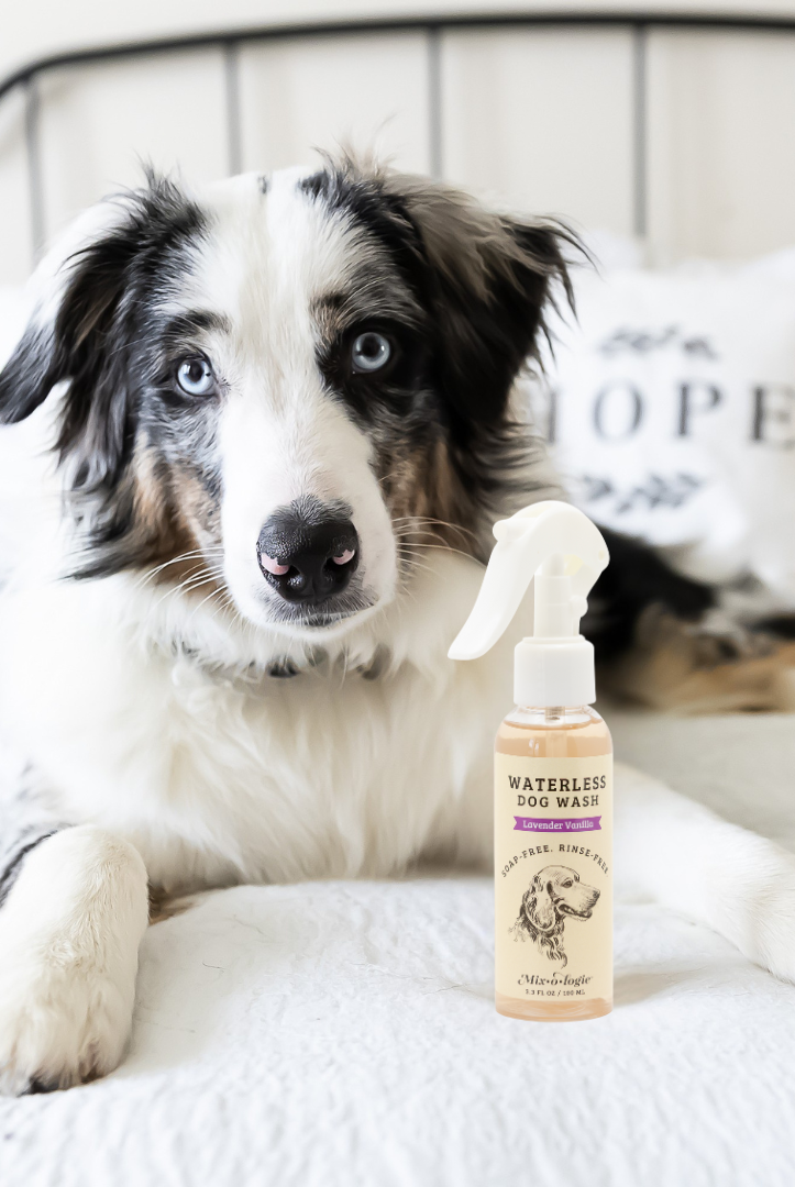 Rinse-Free Dog Wash by Mixologie-Presales-Dear Me Southern Boutique, located in DeRidder, Louisiana