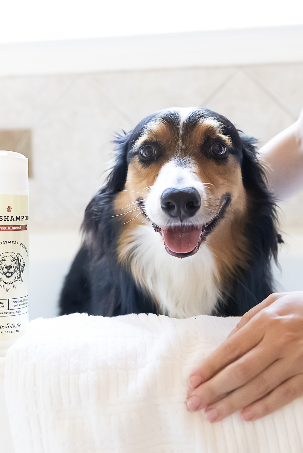 Soothing Dog Shampoo by Mixologie-Presales-Dear Me Southern Boutique, located in DeRidder, Louisiana