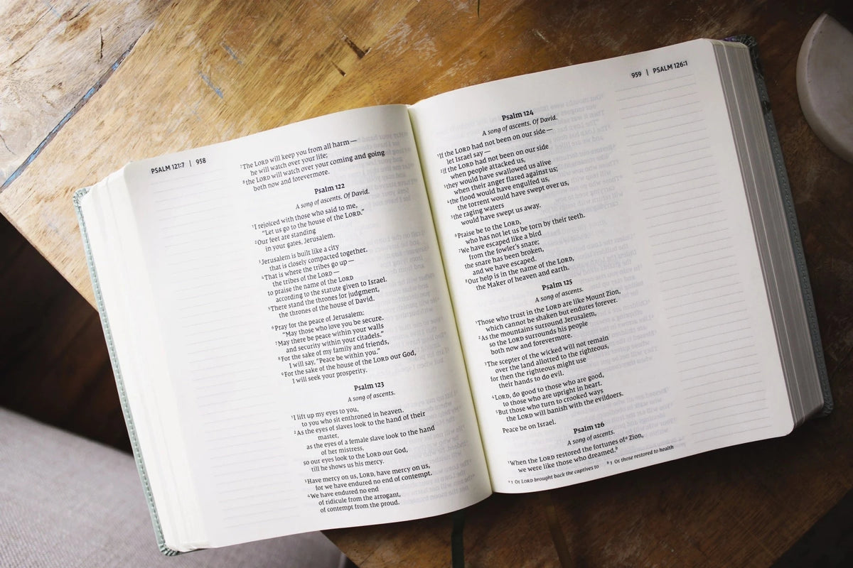 Artisan Collection Large Print Leather Soft Bible- NIV-Other Accessories-Dear Me Southern Boutique, located in DeRidder, Louisiana