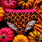 Arya Hip Hugging Briefs: Fall Collection 1-Dear Me Southern Boutique, located in DeRidder, Louisiana