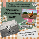 Chicken Poop® Lip Balm-Body Care-Dear Me Southern Boutique, located in DeRidder, Louisiana