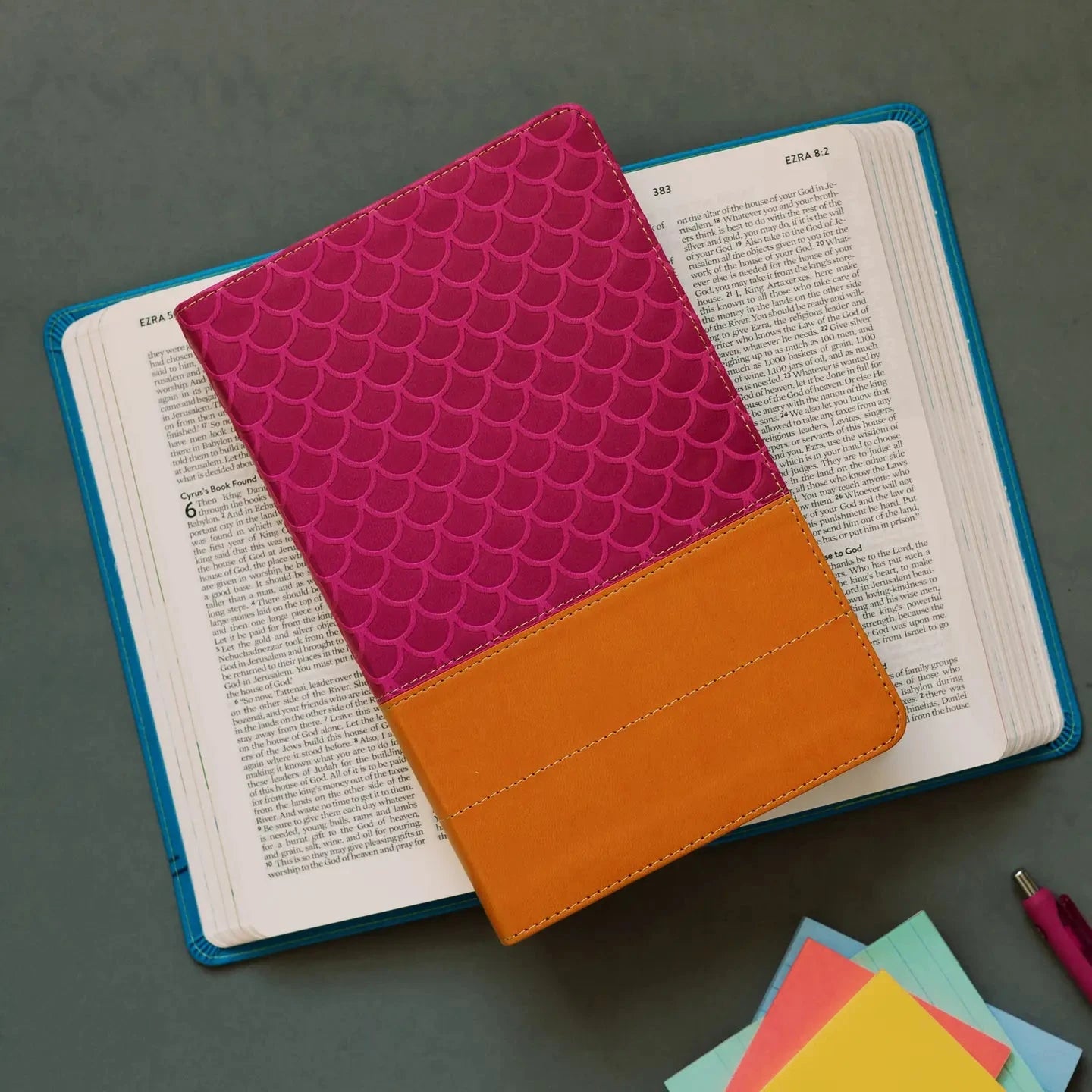 Know Your Bible NLV-JAG Bible Covers-Dear Me Southern Boutique, located in DeRidder, Louisiana