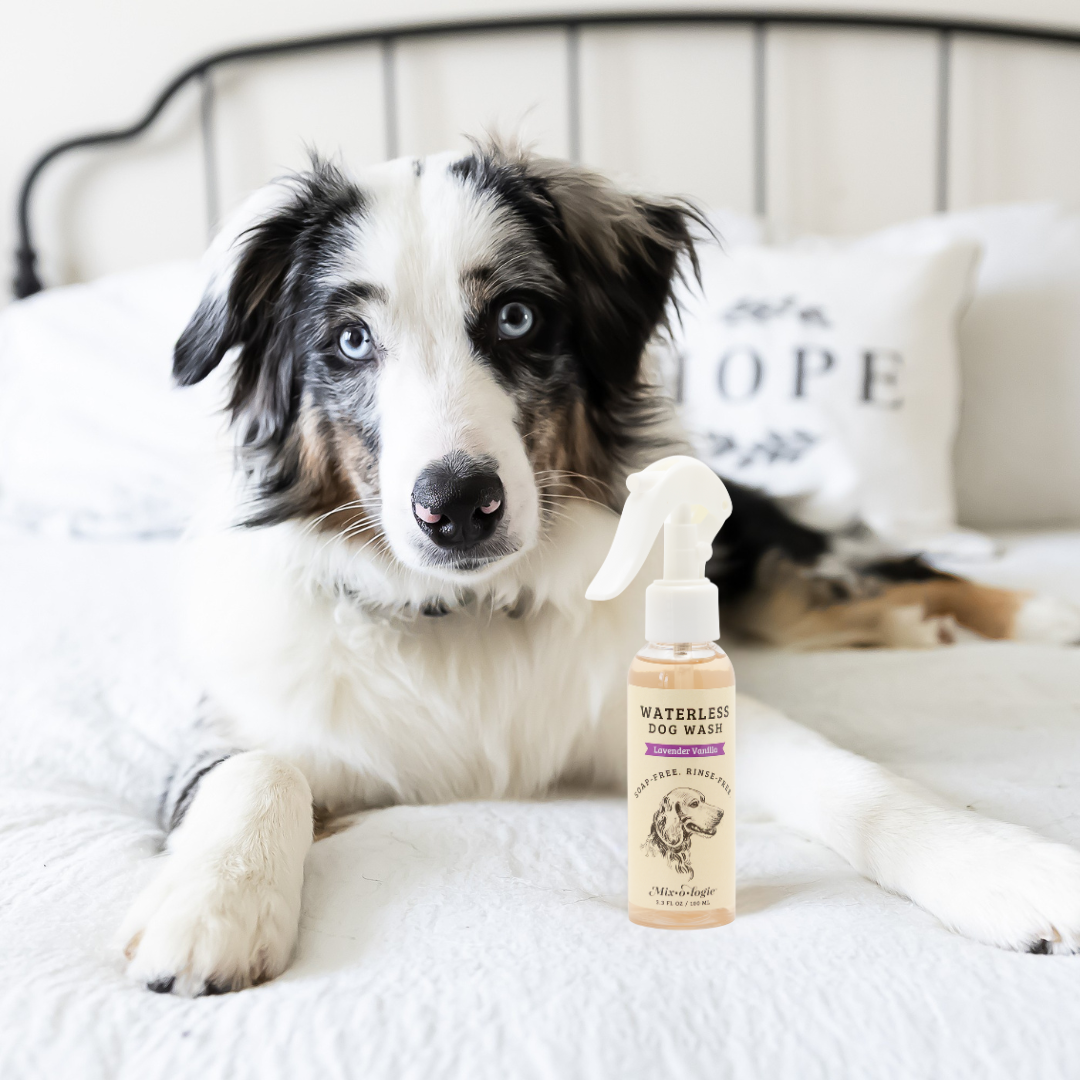 Rinse-Free Dog Wash by Mixologie-Presales-Dear Me Southern Boutique, located in DeRidder, Louisiana