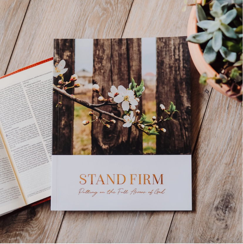 Stand Firm | Putting on the Full Armor of God-Dear Me Southern Boutique, located in DeRidder, Louisiana