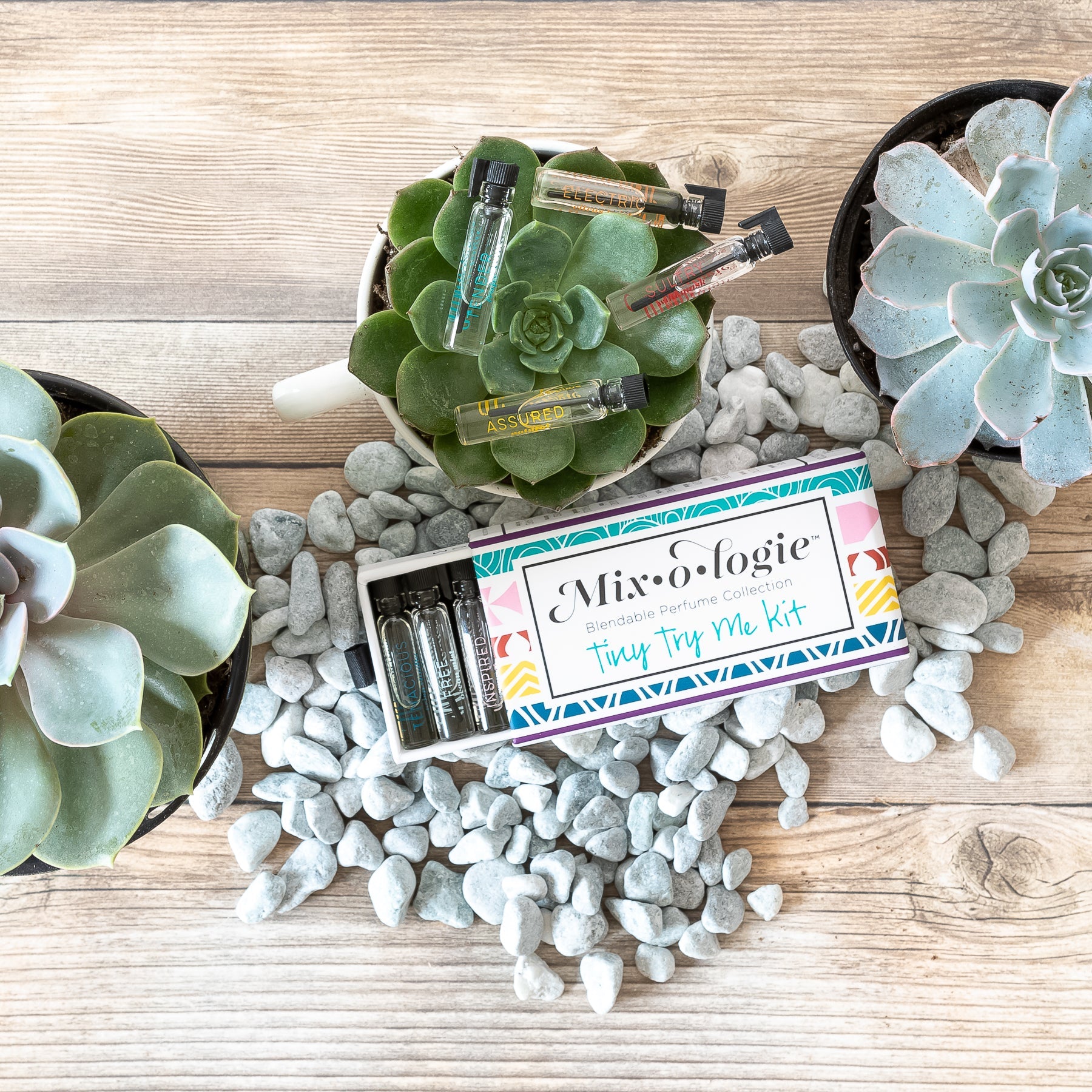 Tiny Try Me Kit by Mixologie-Presales-Dear Me Southern Boutique, located in DeRidder, Louisiana